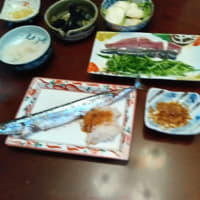 サンマが豊漁