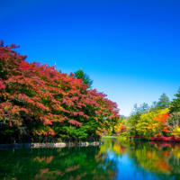 グローバルライフ株式会社 | Global Life　紅葉を楽しむための方法