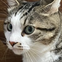 ちょい寒いかも。🙄