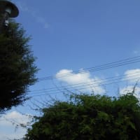 2025年7月7日…七夕に小暑…（;´▽｀A``　危険な暑さだぁ～