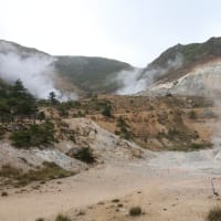 豊前大分小旅行（１）塚原高原の噴火口：由布市湯布院町