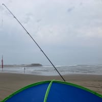 みんなで海へ🏝️