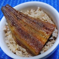 【05/30晩御飯】三重県産鰻蒲焼尾側でミニ鰻丼、２食目なんだね：P
