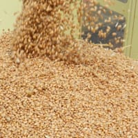 奴らは全食料掌握し人類をコントロールする!!