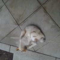 パワースポット