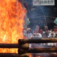観光会まち巡り第２回（通２６）「奥の谷の自然探勝と滝谷不動の春季大祭」