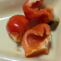 断捨離の意味