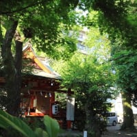 【京都発幕間旅情】熊本手取天満宮,大火内戦大戦越え火除信仰と共に熊本市中心ビル群に憩う