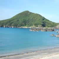 屋久島だより　その１