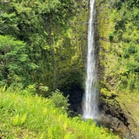 ハワイ島旅行2019 8/31　アカカ滝にて