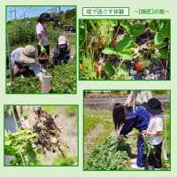 第一回 自然の中で豊かな時間