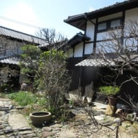 北鎌倉からの道　古民家ミュージアムのお庭