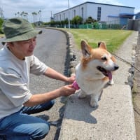 アドベンに行ってきたよ3
