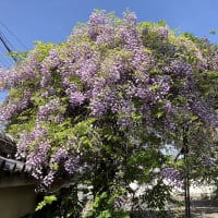「はてなブログ」に引っ越し中です。
