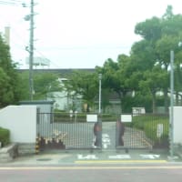 大阪府立堺養護学校(今は校名が変わっているようです)