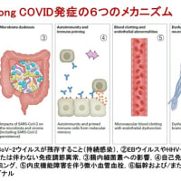 新型コロナウイルス感染症COVID-19：最新エビデンスの紹介（1月23日）：性急な5類への引き下げはすべきではない