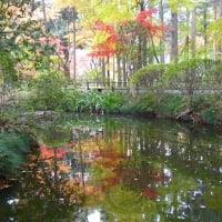 埼玉県新座市平林寺
