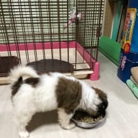 ナナ27歳　奈緒6歳のお誕生日