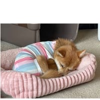 今日いち-2025年3月2日