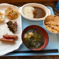 6月の出張