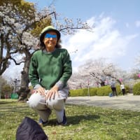 赤目四十八滝から長谷寺。
