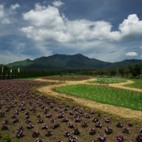 富士五湖へ その7
