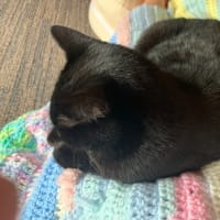 #はじめまして