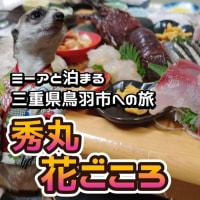 ミーアキャットと初めての一泊旅行!!。三重県鳥羽市の料理旅館『秀丸 花ごころ』さんの絶品海鮮料理とトロトロ泉質の温泉を堪能♨。
