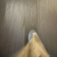 13.誕生
