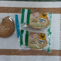 フィリピンのおねえさんにお菓子貰った～