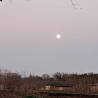 夕暮れに月は登りますね