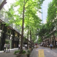 丸の内界隈