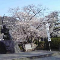 日本100名城&番外　岩国城の春　2006-4-5～9