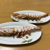 夫の好きな肉と煮物で晩ご飯