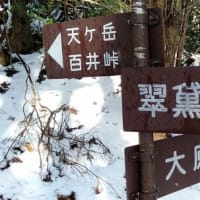 雪山ハイキング（天ヶ岳・京都北山）