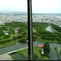 城郭の縄張り図と本丸１４（幕末築城）。