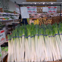 今日の店内　　産地研修の野菜