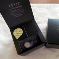 BRIJU ブリージュ