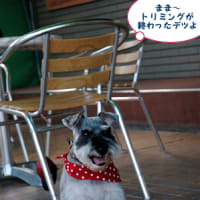 ゲンコツありがとう！