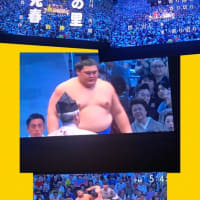 ☆新横綱「大の里」やったね！連勝連勝！！！（笑）☆