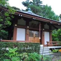 散歩道　　金剛院ハナショウブの花　　　30