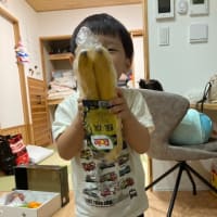 高田文化協会総会