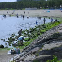 横浜海の公園散策