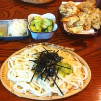 出張先は渋川市・高崎市　東日本で食べたうどんでは一番美味かったかも知れないね
