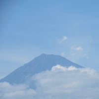 梅雨の晴れ間に