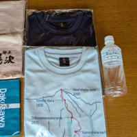 届きました！