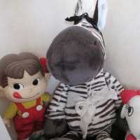 NICI　再び　ペコとベルと一緒