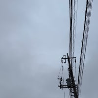 2025/07/06