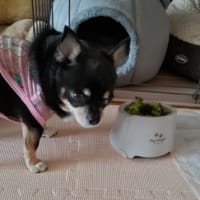 笑ってゴメンナサイ