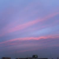 なんとも美しい色の夕方の空